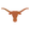 Texas Longhorns
