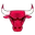 Chicago Bulls