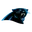 Carolina Panthers