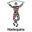 Harlequins