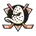 Anaheim Ducks