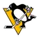 Pittsburgh Penguins