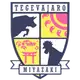 Tegevajaro Miyazaki