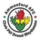 Ammanford