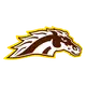Western Michigan Broncos