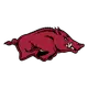 Arkansas Razorbacks