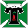 Deportes Temuco
