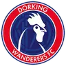 Dorking Wanderers