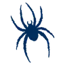 Richmond Spiders