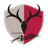 Kashima Antlers